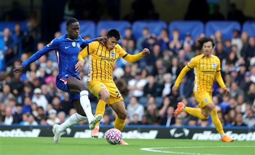 What's a Bingo Game?